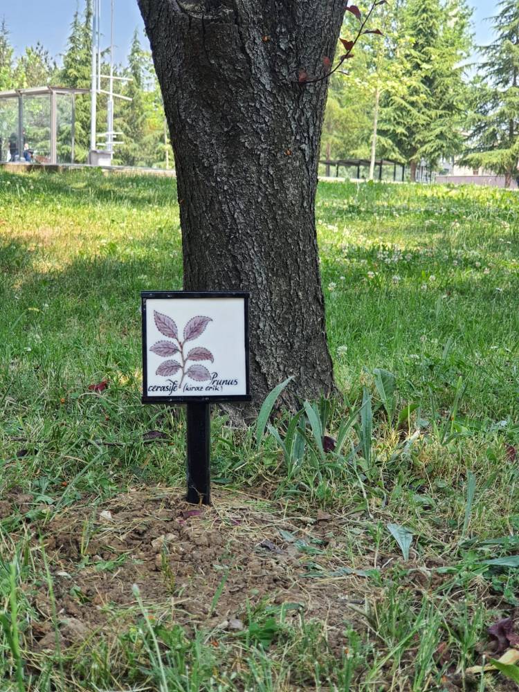 TÜBİTAK Destekli Proje ile Kampüste Sanat ve Doğa Bir Arada